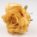 Small Rose Cadiz. 10cm. Mustard